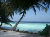 maldives 21.jpg